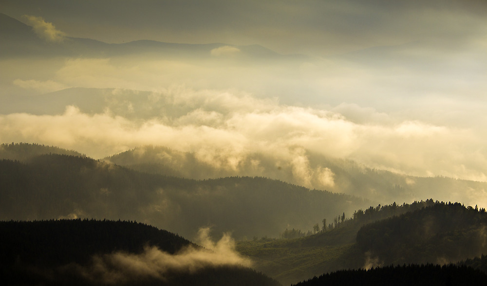 Фотографія ***** / prybluda / photographers.ua