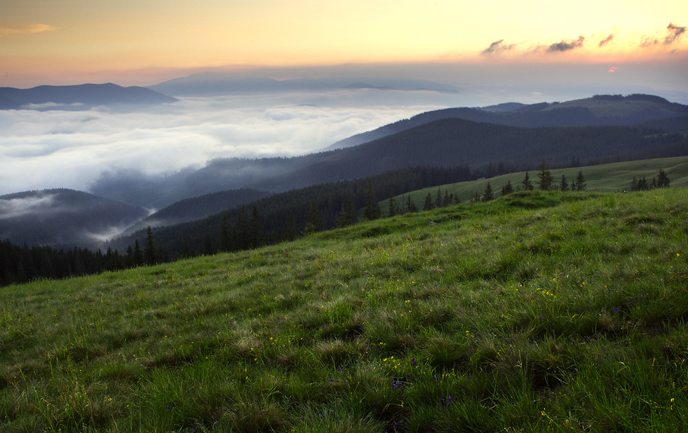 Фотографія Пейзаж / prybluda / photographers.ua