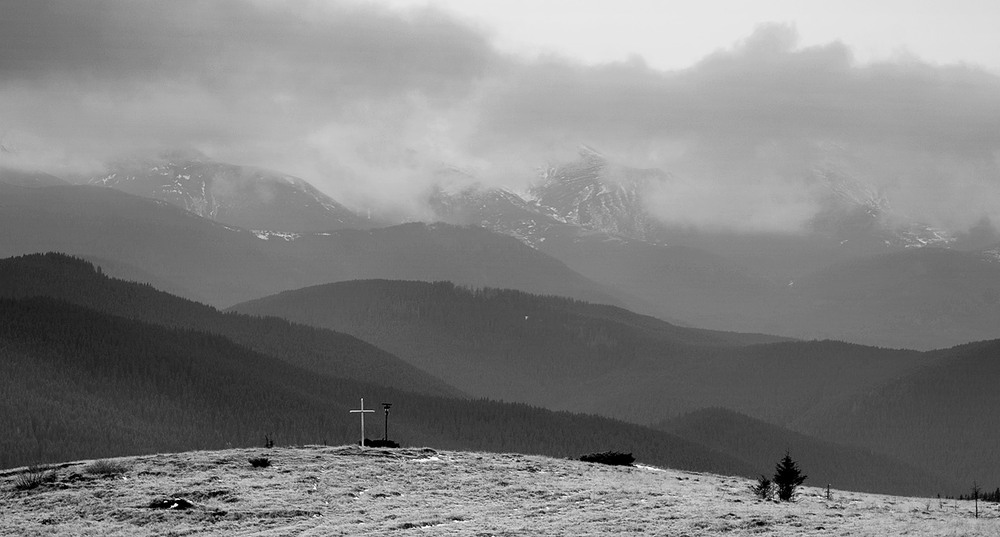 Фотографія *** / prybluda / photographers.ua