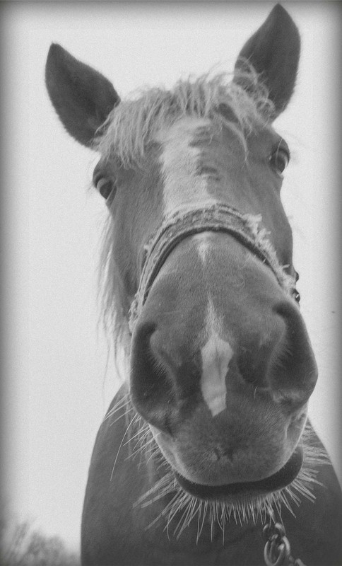 Фотографія Ну шо ти мене не бритого фотографуєш? =) / Макс Мисник / photographers.ua