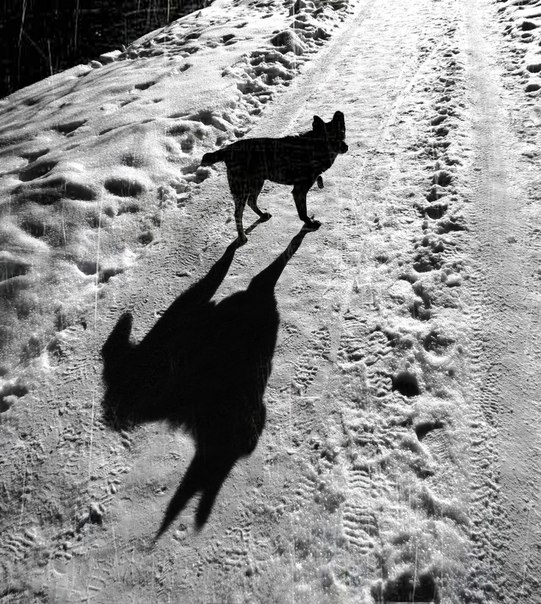 Фотографія тінь як суть душі) / Оля Микитюк / photographers.ua
