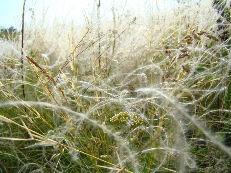 Фотографія Пейзаж / Дмитрий Козяр / photographers.ua