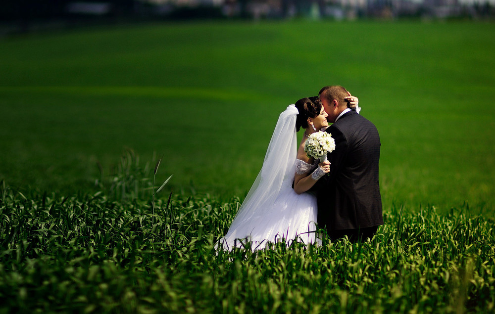 Фотографія Свадьба / Новак Тетяна / photographers.ua