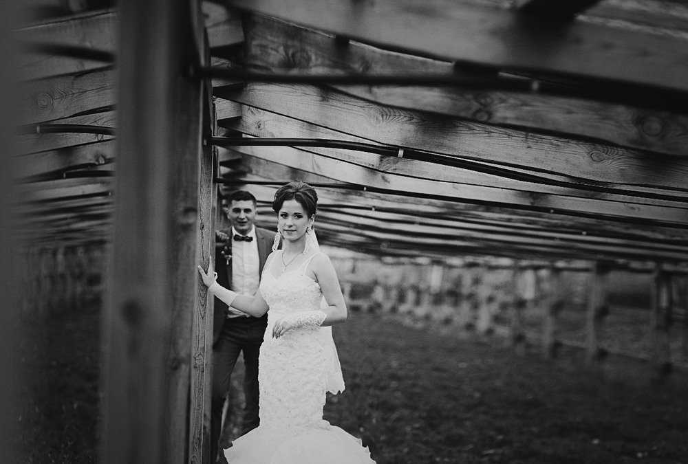 Фотографія Свадьба / Новак Тетяна / photographers.ua