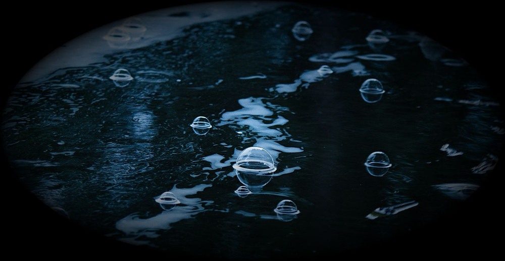 Фотографія ПриБульці с планети Були - Булі. / Олександр Ігнатьєв / photographers.ua