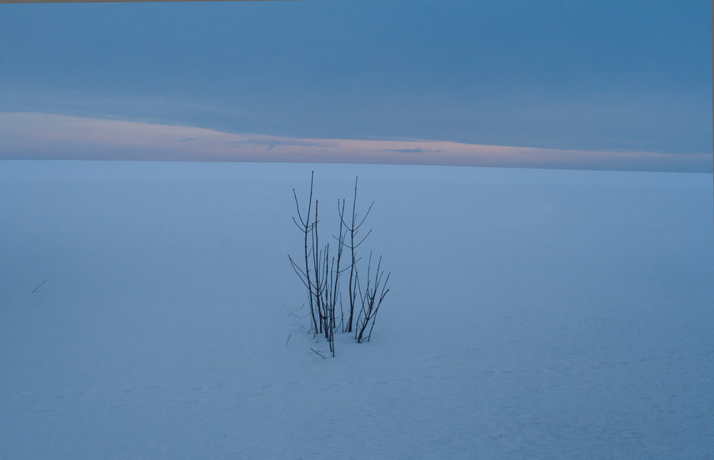 Фотографія Там за горизонтом... / Олександр Ігнатьєв / photographers.ua