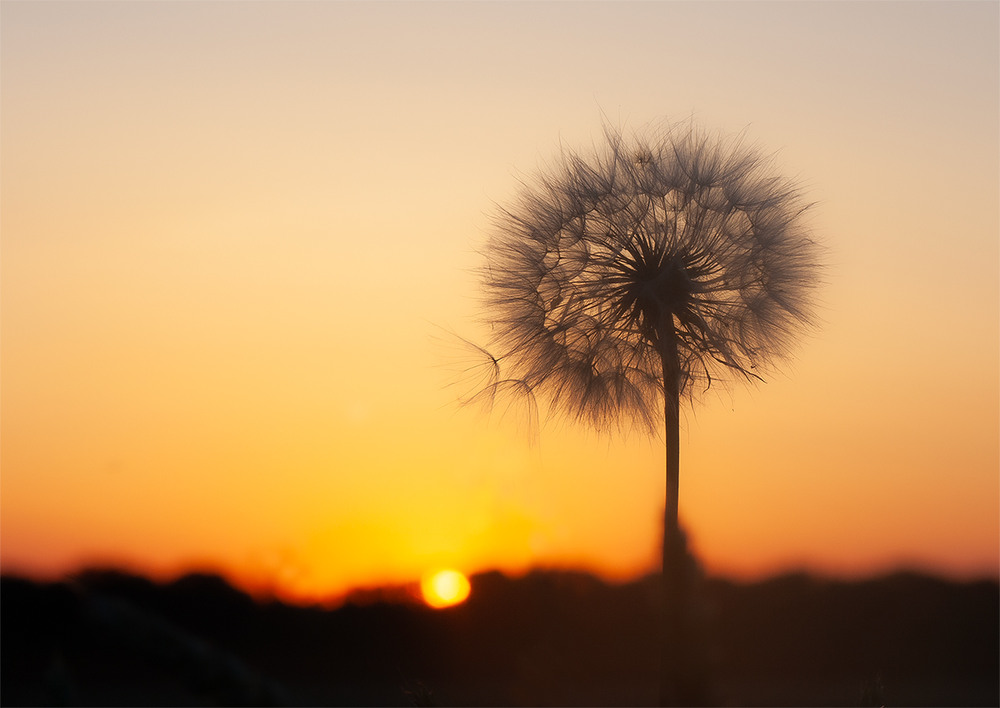 Фотографія Прощання / Олександр Ігнатьєв / photographers.ua