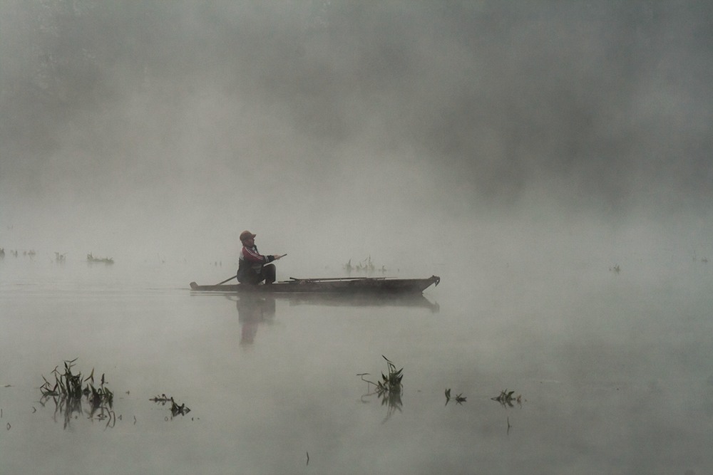 Фотографія В туман. / Олександр Ігнатьєв / photographers.ua