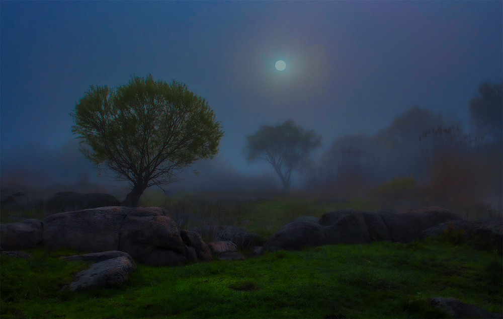 Фотографія Сяйво нічного світла. / Олександр Ігнатьєв / photographers.ua