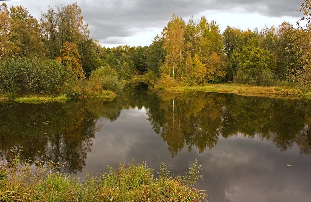 Фотографія Озеро Шепетівського лісу. / Олександр Ігнатьєв / photographers.ua