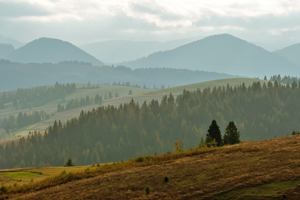 Фотографія Пастель карпатських гір. / Олександр Ігнатьєв / photographers.ua