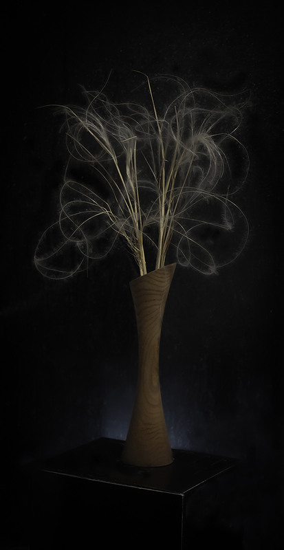 Фотографія ковилині викрутаси / Олександр Ігнатьєв / photographers.ua