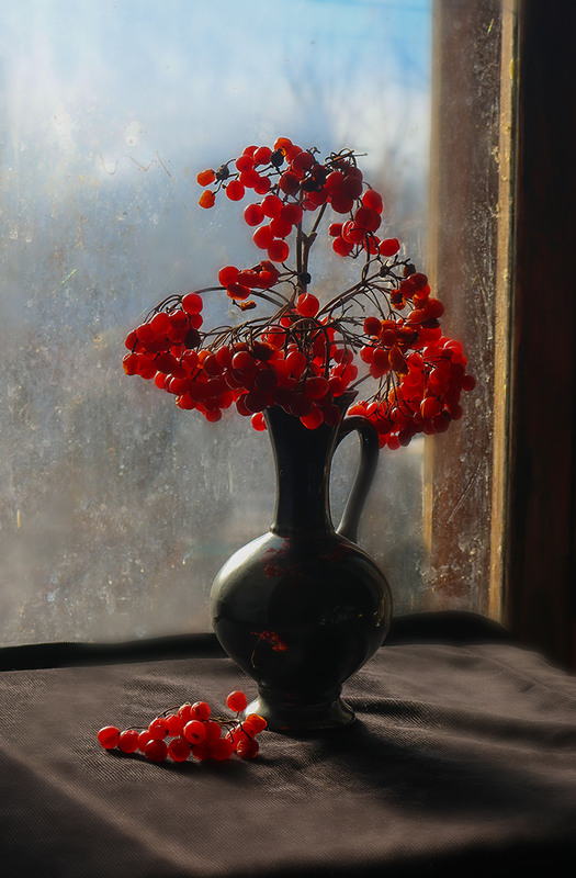 Фотографія Калиновий кармен / Олександр Ігнатьєв / photographers.ua