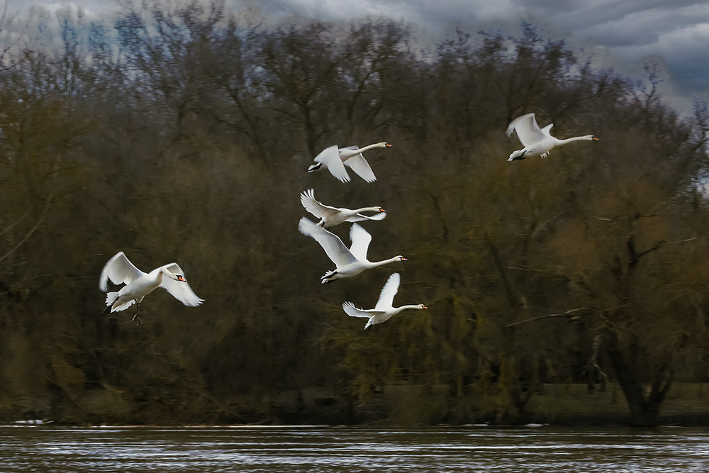 Фотографія Макро / Олександр Ігнатьєв / photographers.ua