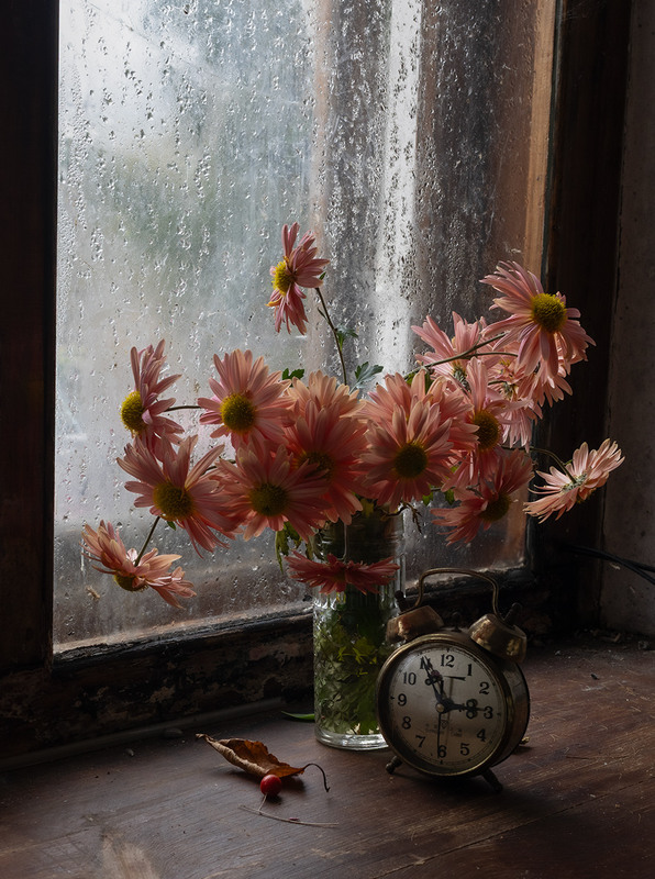 Фотографія Час Хризонтем / Олександр Ігнатьєв / photographers.ua