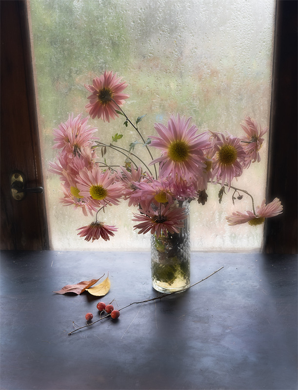 Фотографія Ніжність осінніх хризантем / Олександр Ігнатьєв / photographers.ua