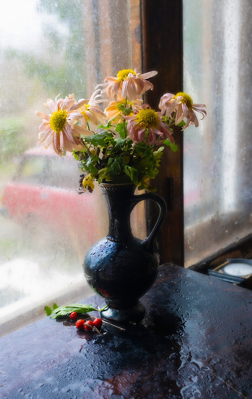 Фотографія Час хризантем 2 / Олександр Ігнатьєв / photographers.ua