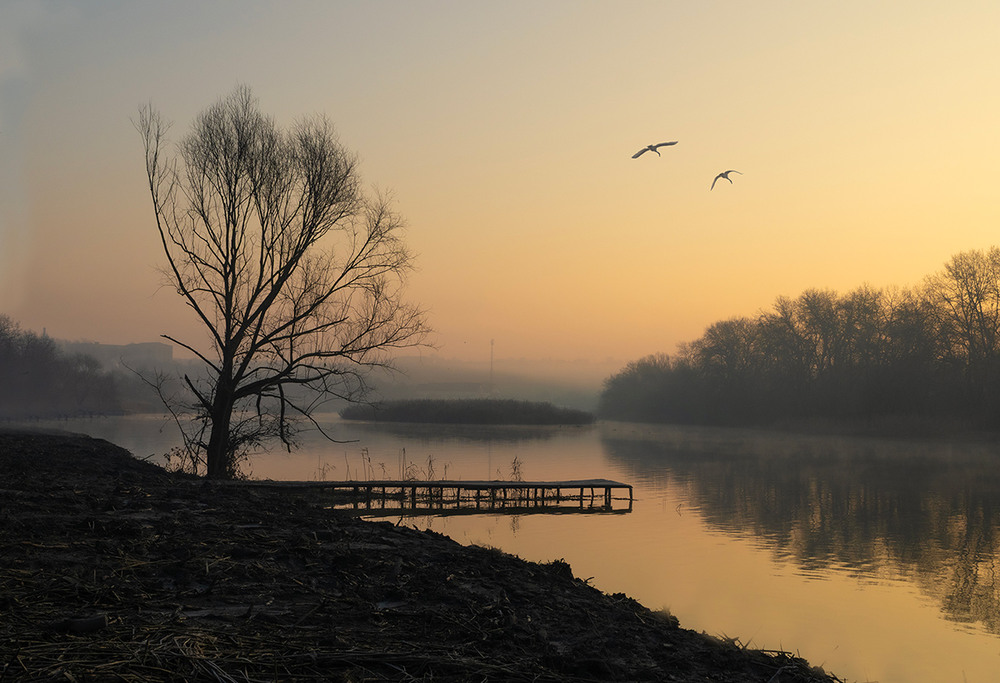 Фотографія На зустріч сонцю / Олександр Ігнатьєв / photographers.ua