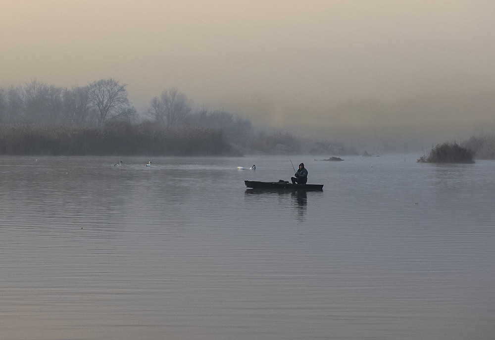 Фотографія Гармонія / Олександр Ігнатьєв / photographers.ua