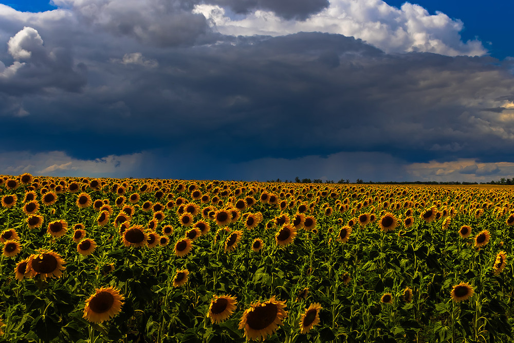 Фотографія НАБЛИЖЕННЯ СТІНИ / Олександр Ігнатьєв / photographers.ua