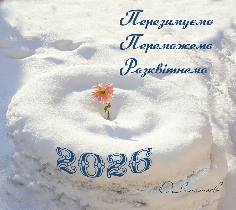 Фотографія З Новим роком! / Олександр Ігнатьєв / photographers.ua