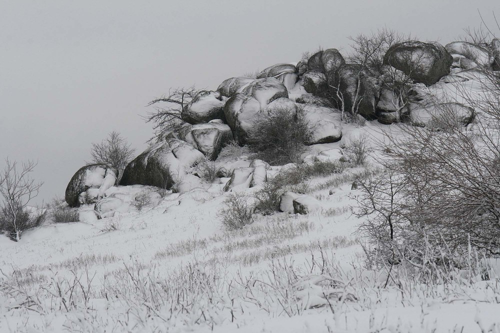 Фотографія Графіка мокрого снігу. / Олександр Ігнатьєв / photographers.ua