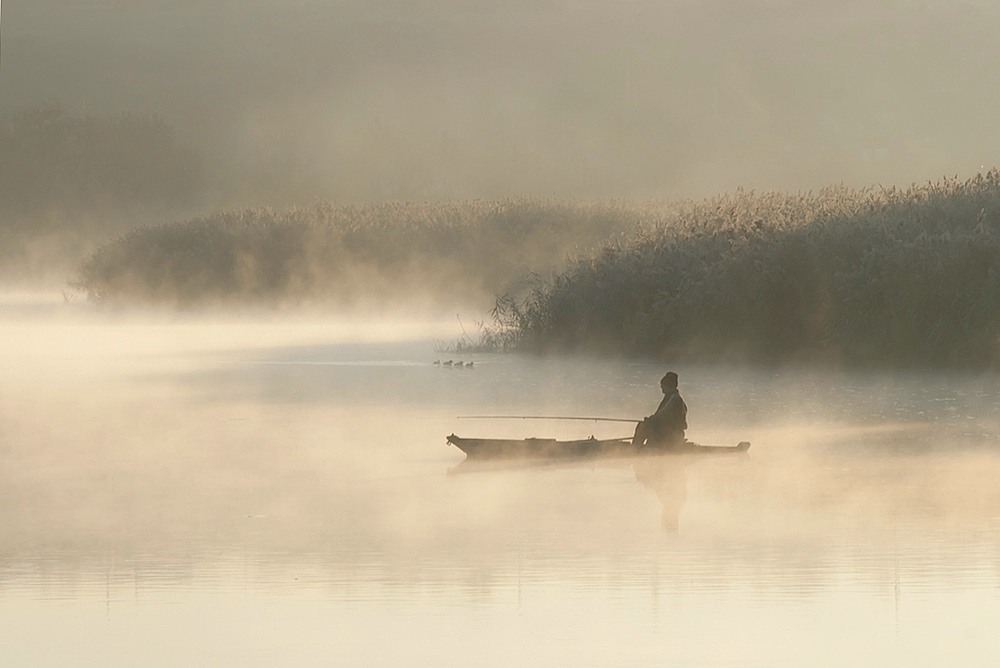 Фотографія Зустріч в тумані. / Олександр Ігнатьєв / photographers.ua