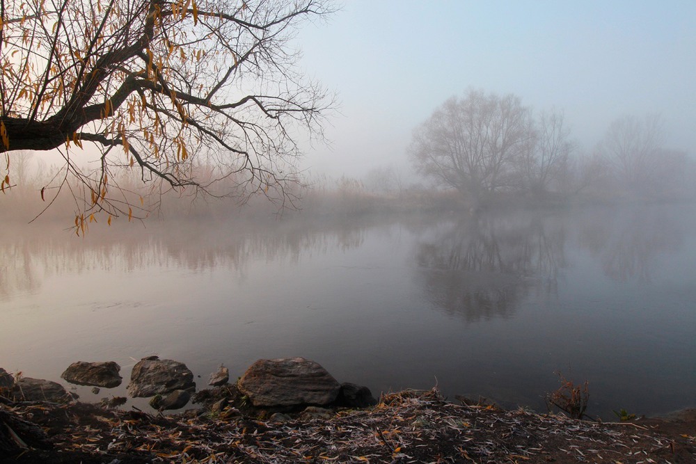 Фотографія Останні листя осені. / Олександр Ігнатьєв / photographers.ua