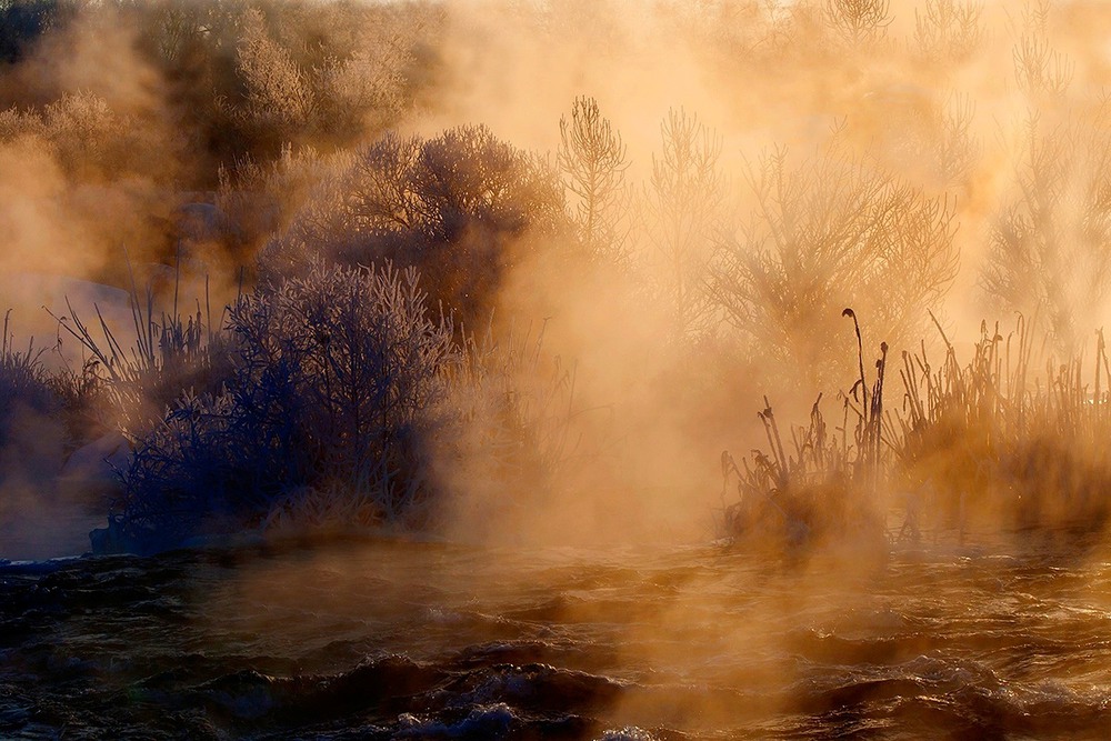 Фотографія Морозне полум"я. / Олександр Ігнатьєв / photographers.ua