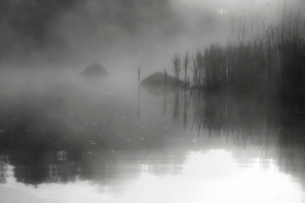 Фотографія Озеро тумана. / Олександр Ігнатьєв / photographers.ua