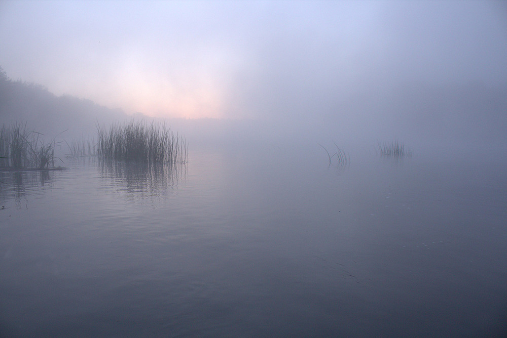 Фотографія Бузковий туман. / Олександр Ігнатьєв / photographers.ua