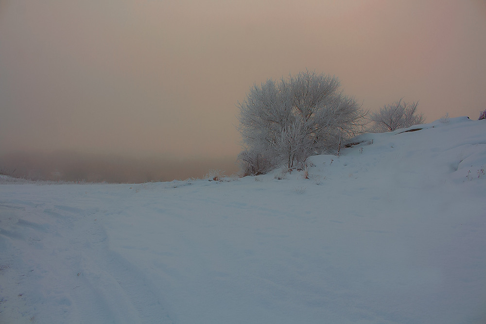 Фотографія Ранок рожевого туману / Олександр Ігнатьєв / photographers.ua