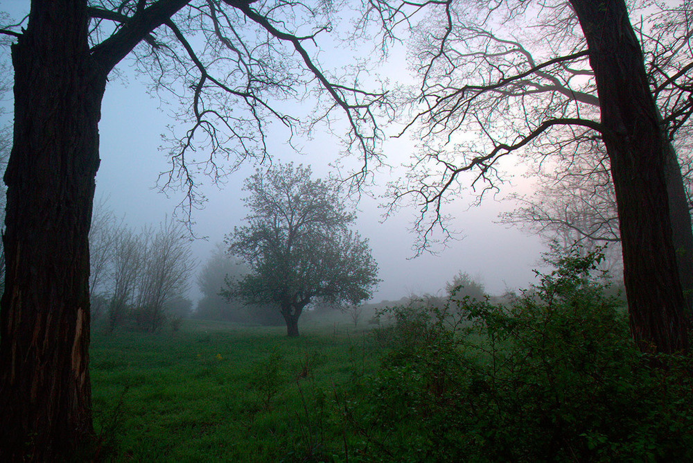 Фотографія Обійми туманного ранку. / Олександр Ігнатьєв / photographers.ua