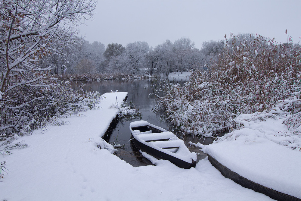 Фотографія Перший сніг / Олександр Ігнатьєв / photographers.ua
