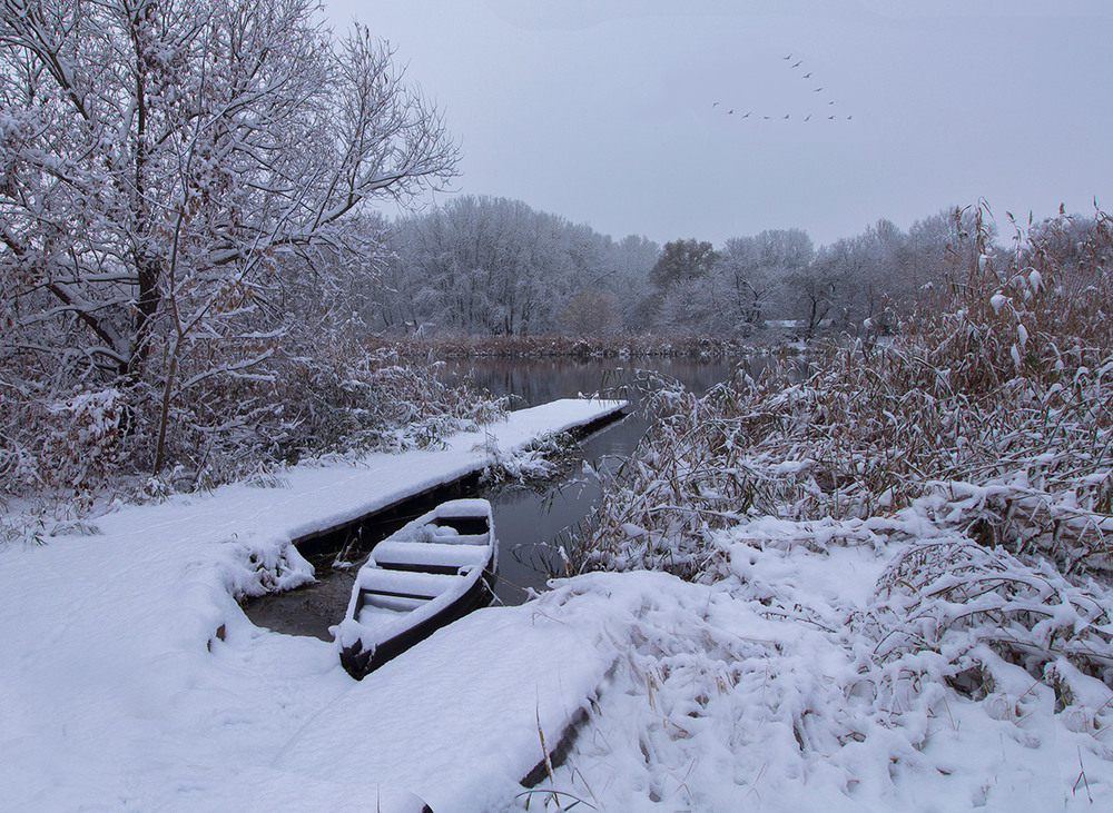 Фотографія Перший сніг минулого року. / Олександр Ігнатьєв / photographers.ua