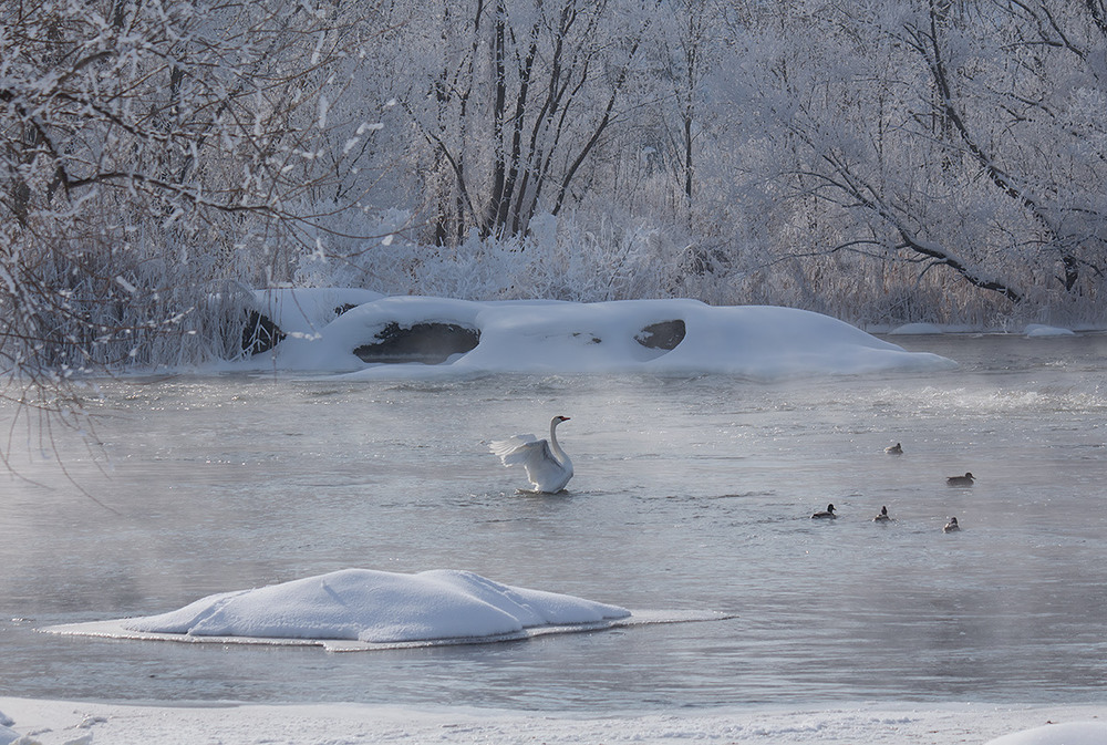 Фотографія Казка річки Бог. / Олександр Ігнатьєв / photographers.ua
