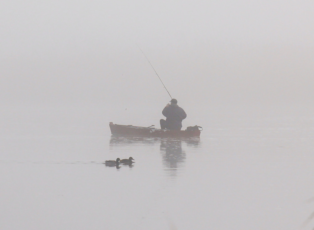 Фотографія Образи ранкового туману. / Олександр Ігнатьєв / photographers.ua