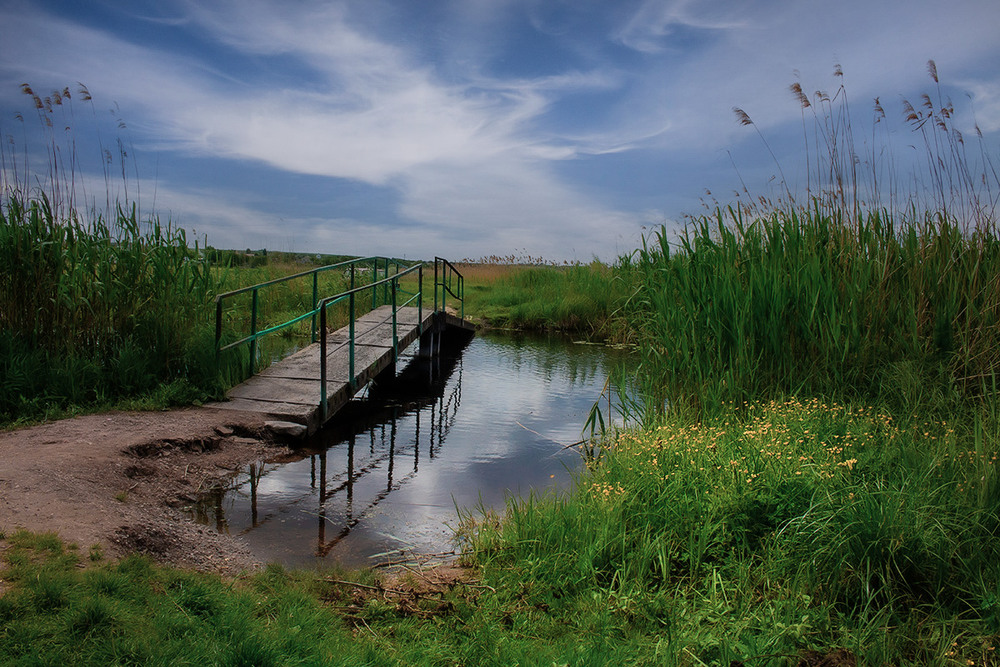 Фотографія Місток річки Кодима / Олександр Ігнатьєв / photographers.ua