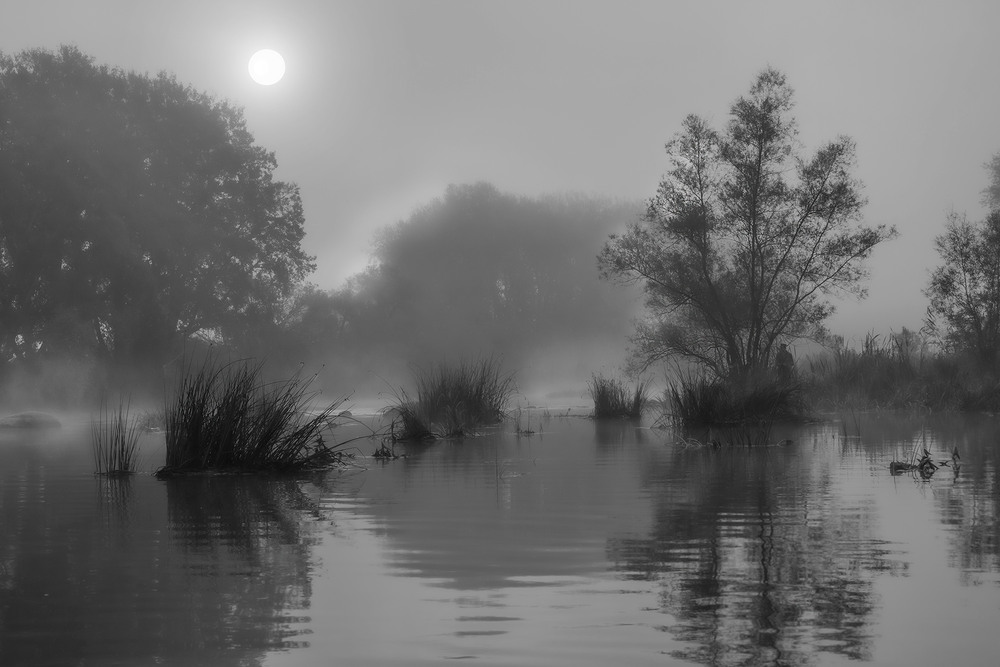 Фотографія Пейзаж / Олександр Ігнатьєв / photographers.ua