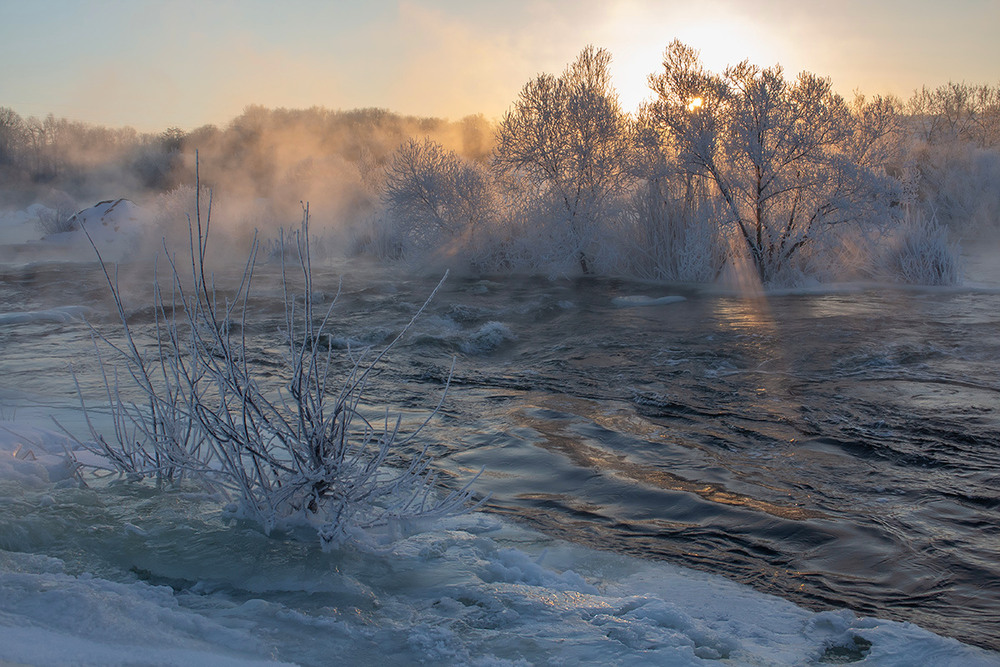 Фотографія Зимове свято Гіпаніса / Олександр Ігнатьєв / photographers.ua