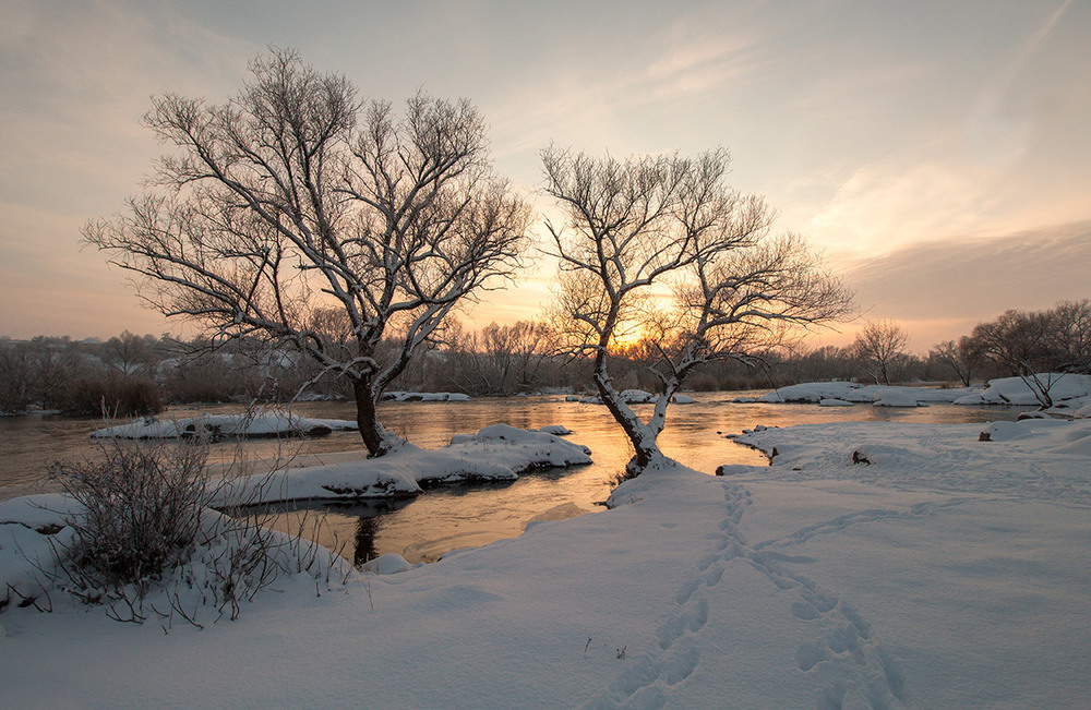 Фотографія Барви зимового вечора. / Олександр Ігнатьєв / photographers.ua