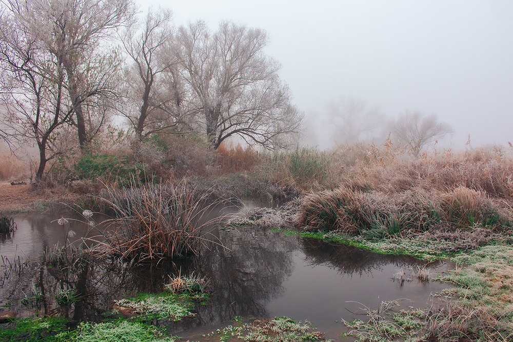 Фотографія Пейзаж / Олександр Ігнатьєв / photographers.ua