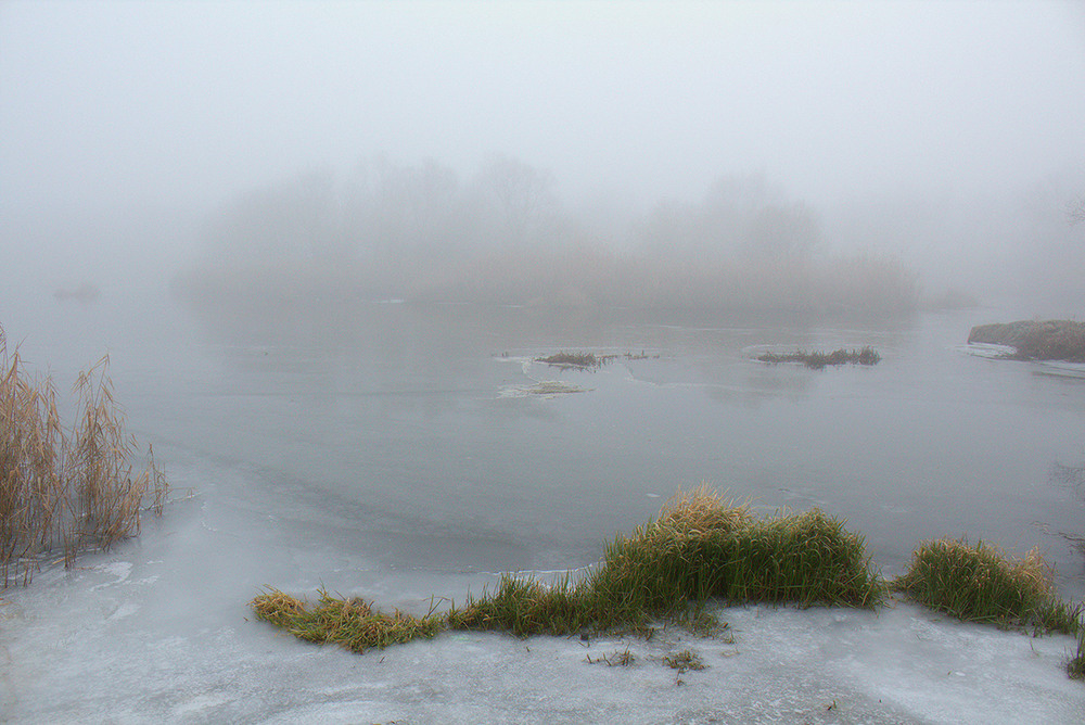 Фотографія Туман зими. / Олександр Ігнатьєв / photographers.ua