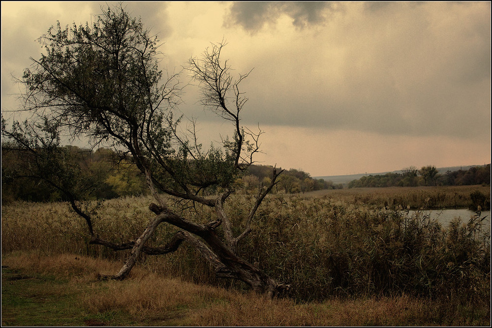 Фотографія Мгла опускается... / Станислав З. / photographers.ua