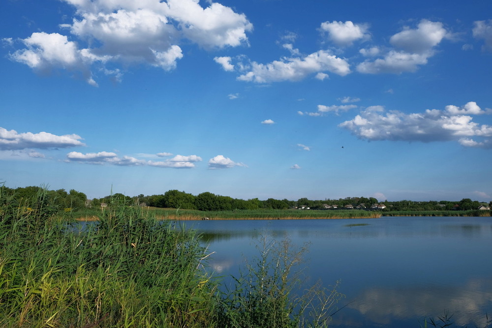 Фотографія *** Трохи про рибалку, птахів, хмари та село... / V.@-prostophotographer Vadim / photographers.ua