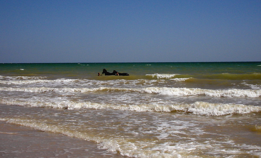 Фотографія Азовське море. Дівчина,коні та море. Архів. / V.@-prostophotographer Vadim / photographers.ua