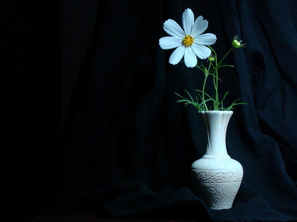 Фотографія Натюрморт / Andry Glow / photographers.ua