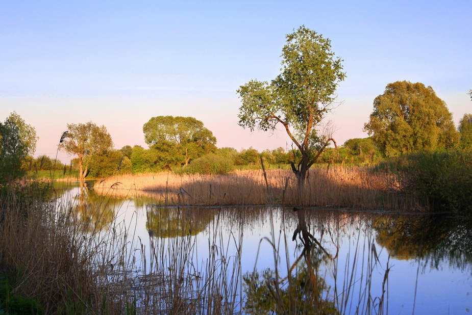 Фотографія Пейзаж / Stef / photographers.ua