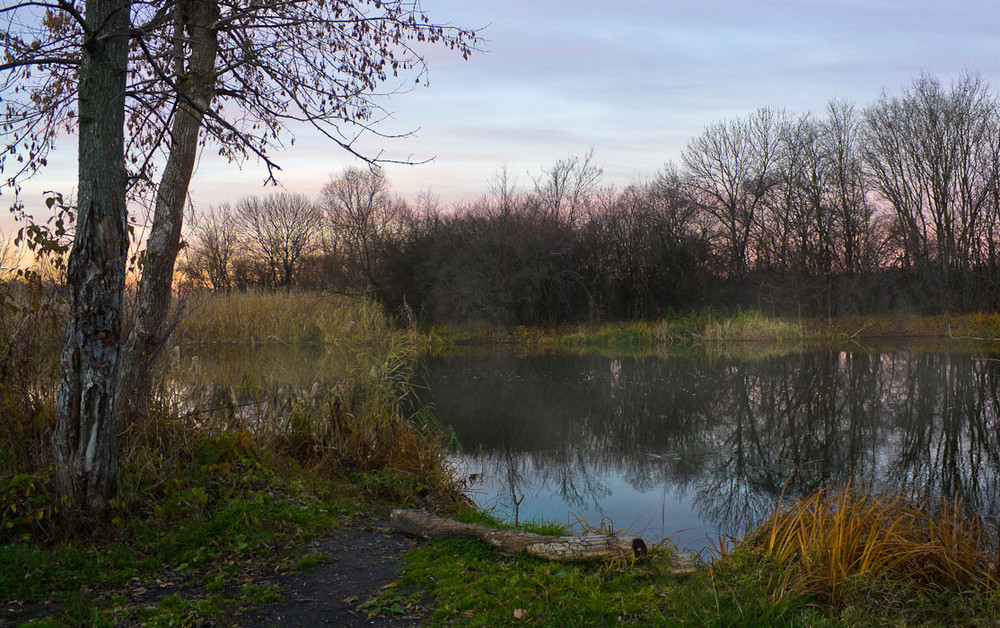 Фотографія Утро осеннее на реке / Евгений Погорелов / photographers.ua