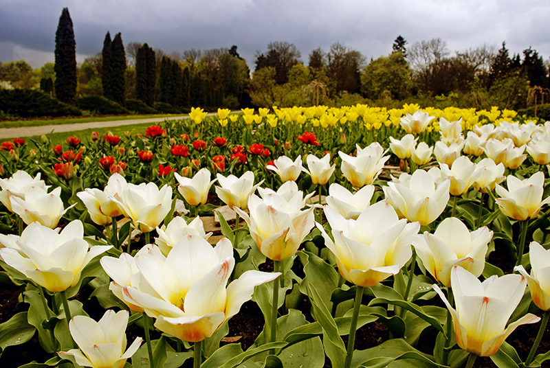 Фотографія Перед бурей / Антон Горлин / photographers.ua